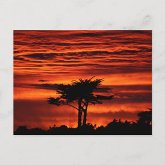 Red Sunset, Santa Cruz California Postcard