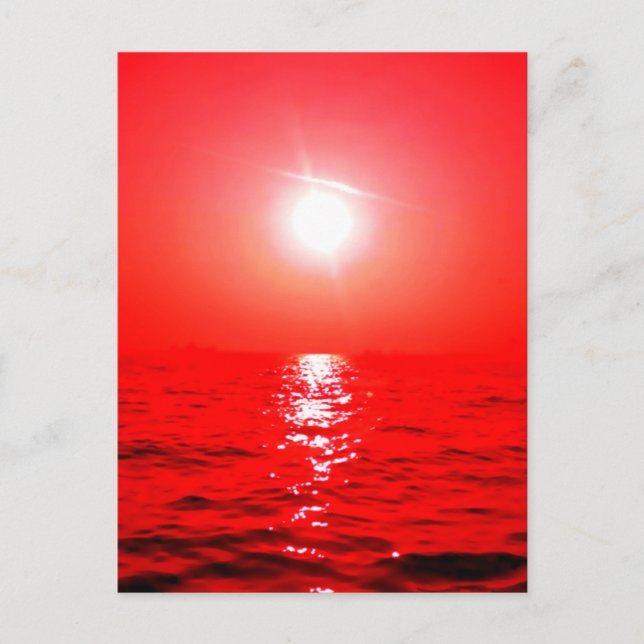 Red  Sunset Seascape Postcard (Front)