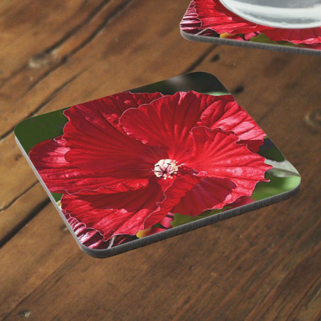 Red Swamp Hibiscus Bloom Floral Coaster (In Situ)