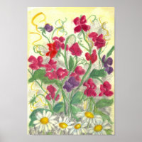 Red Sweet Pea Daisy Watercolor Garden Drawing