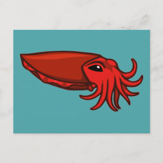 Red Swimming Cuttlefish Postcard