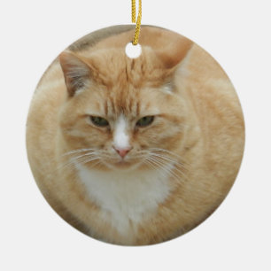 Red Tabby Ceramic Tree Decoration
