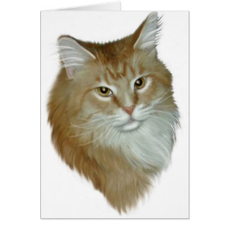 Red Tabby Maine Coon