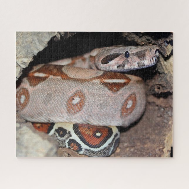 Red Tail Boa Constrictor Jigsaw Puzzle (Horizontal)