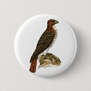Red Tail Hawk 6 Cm Round Badge