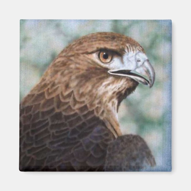 Red-tail Hawk airbrush Magnet (Front)