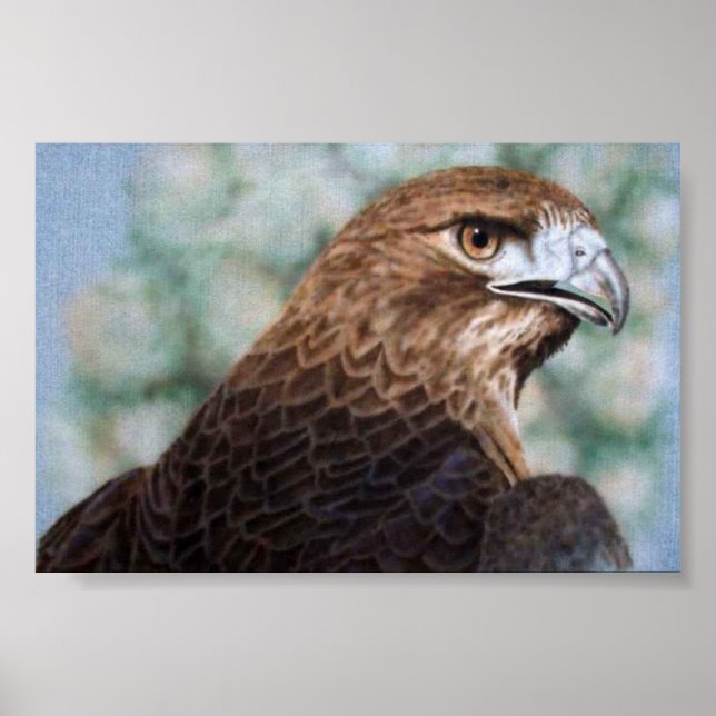 Red-tail Hawk-airbrush Poster (Front)