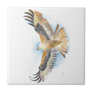 Red Tail Hawk Art Ceramic Tile