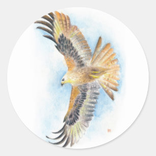Red Tail Hawk Art Classic Round Sticker