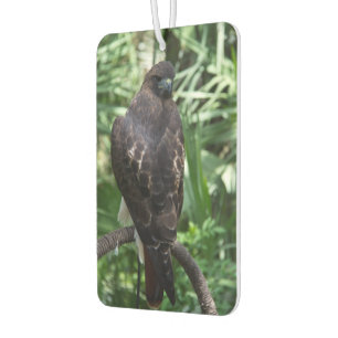 Red Tail Hawk Bird Car Air Freshener
