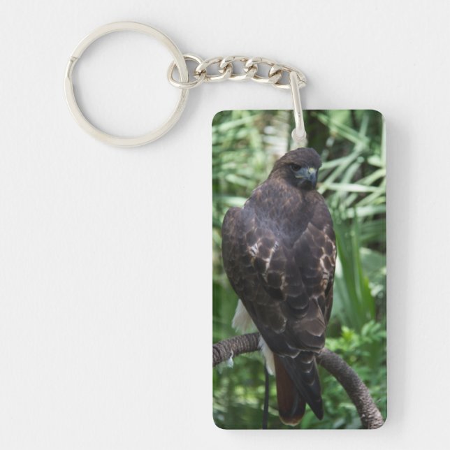 Red Tail Hawk Bird Key Ring (Front)