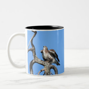 Red Tail Hawk, Bird Of Prey  Two-Tone Coffee Mug
