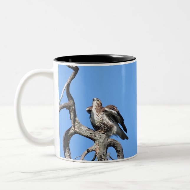 Red Tail Hawk, Bird Of Prey  Two-Tone Coffee Mug (Left)