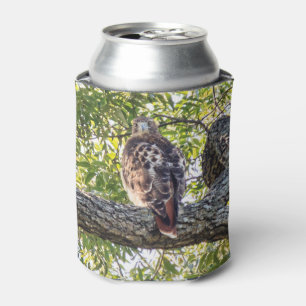 Red Tail Hawk Can Cooler
