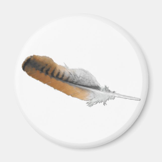 Red-tail Hawk feather Magnet (Front)