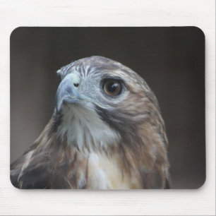 Red Tail Hawk Mouse Pad