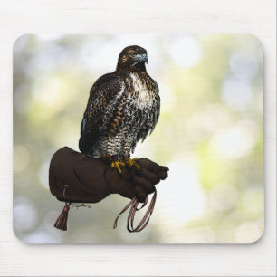Red-tail Hawk on Glove Mouse Pad