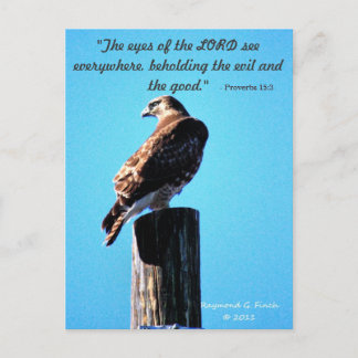 Red Tail Hawk - Postcard - Proverbs 15:3