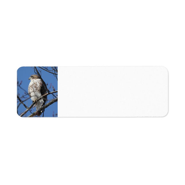 Red Tail Hawk Return Address Label (Front)