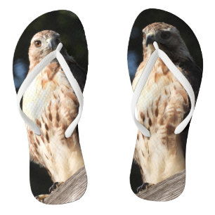 Red Tail Hawk Thongs