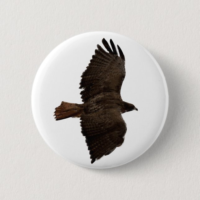 Red-tail sketch 6 cm round badge (Front)