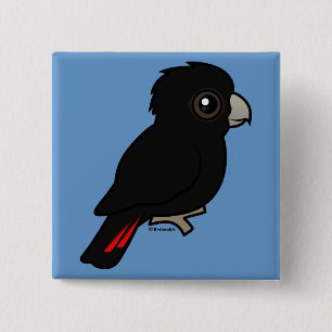 Red-tailed Black Cockatoo 15 Cm Square Badge