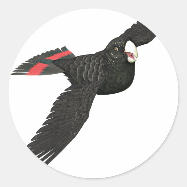 Red Tailed Black Cockatoo Classic Round Sticker (Front)