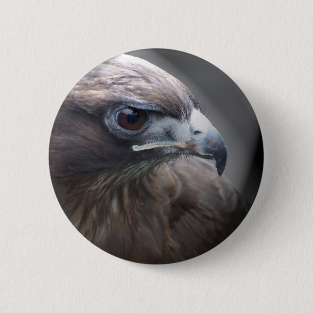 Red-tailed Hawk 6 Cm Round Badge (Front)