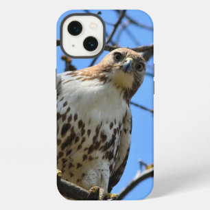 Red-tailed hawk, Apple iPhone 13 case