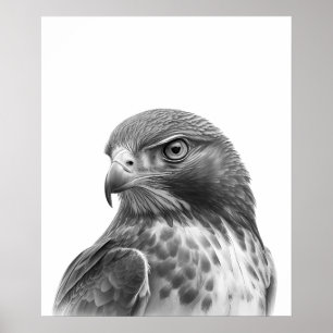 Red Tailed Hawk Bird Portrait  Black white  Poster
