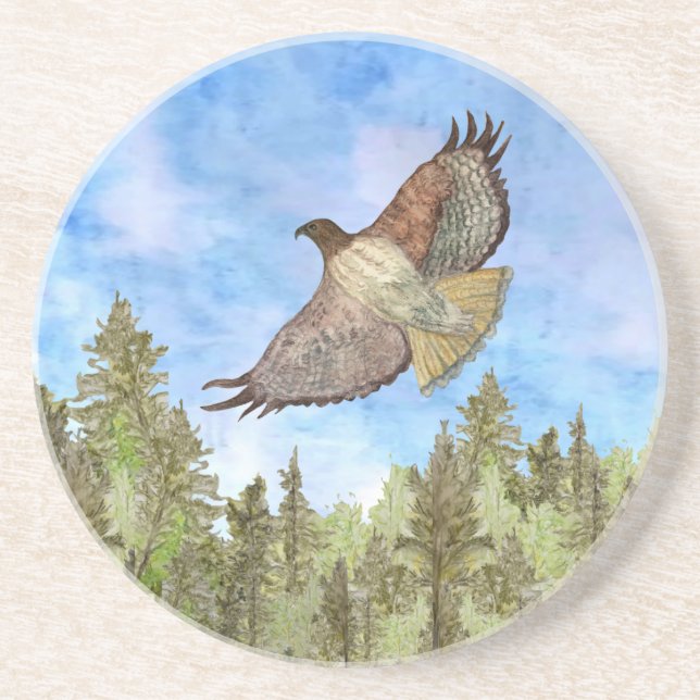 Red-tailed Hawk Bird Sandstone Coaster (Front)