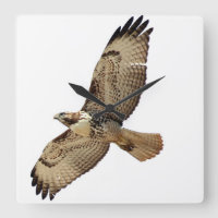 Red Tailed Hawk Bird Wildlife Animal Wall Clock