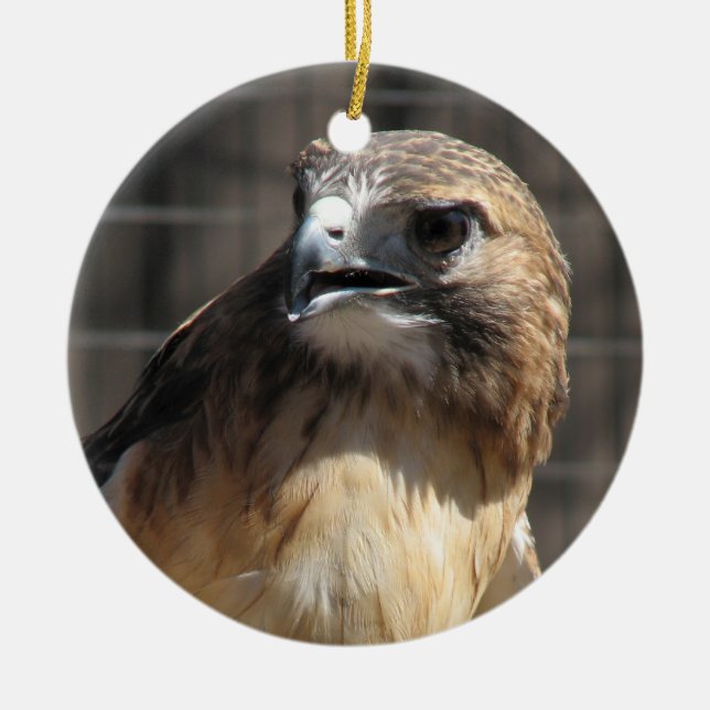 Red Tailed Hawk/Buzzard Ornament (Front)