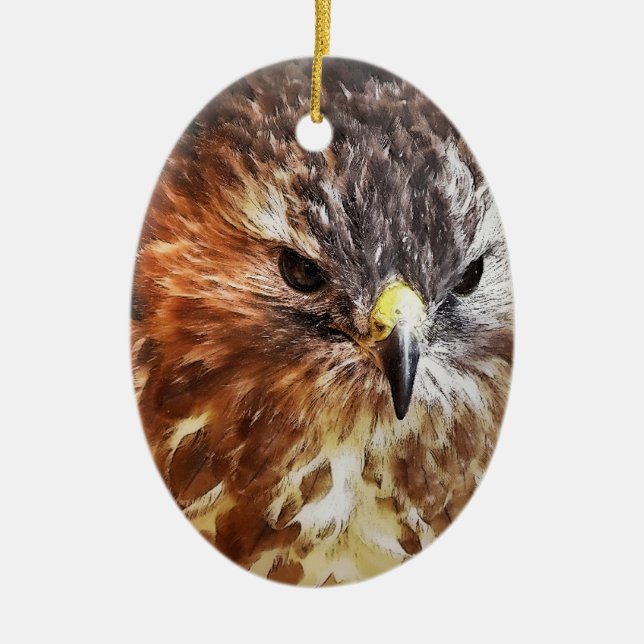 RED TAILED HAWK CERAMIC ORNAMENT (Front)