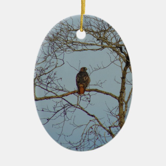 Red Tailed Hawk Ceramic Tree Decoration (Front)