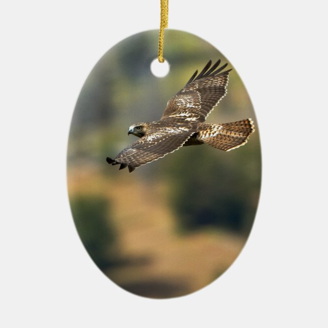 Red-tailed Hawk Ceramic Tree Decoration (Front)