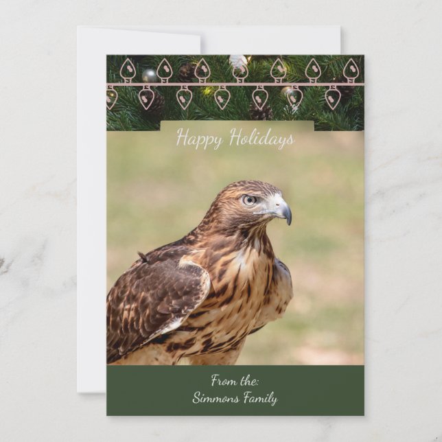 Red-Tailed Hawk Christmas Card (Front)
