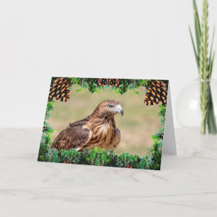 Red-Tailed Hawk Christmas Card