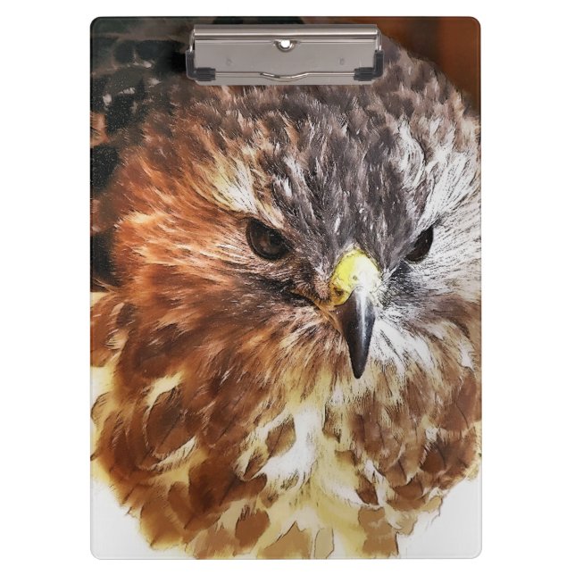 RED TAILED HAWK CLIPBOARD (Front)