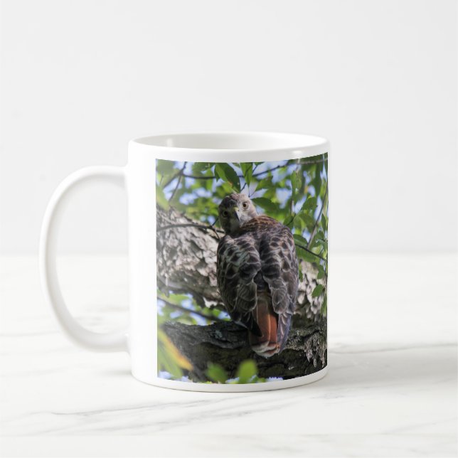 Red-tailed Hawk Coffee Mug (Left)