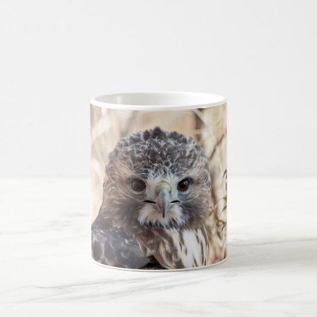 Red Tailed Hawk Coffee Mug (Center)
