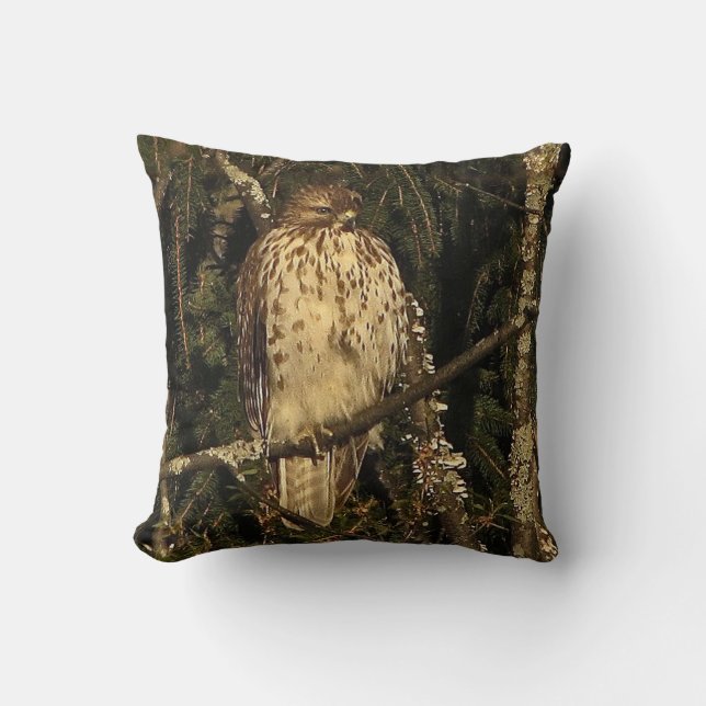Red Tailed Hawk Cushion (Front)