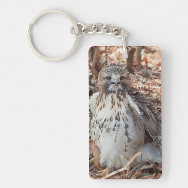 Red Tailed Hawk Doubled Key Ring (Front)