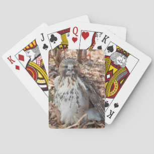 Red Tailed Hawk Doubled Playing Cards