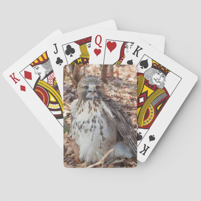 Red Tailed Hawk Doubled Playing Cards (Back)
