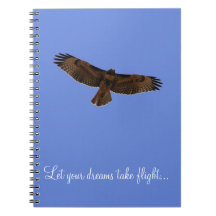 Red Tailed Hawk Dream Journal Blue Background