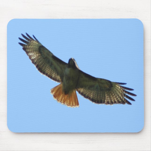 RED TAILED HAWK FLYING MOUSE PAD (Front)