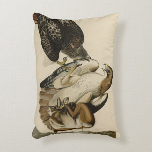 Red-tailed Hawk from Audubon's Birds of America Decorative Cushion