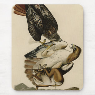 Red-tailed Hawk from Audubon's Birds of America Mouse Pad
