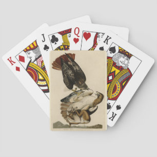 Red-tailed Hawk from Audubon's Birds of America Playing Cards